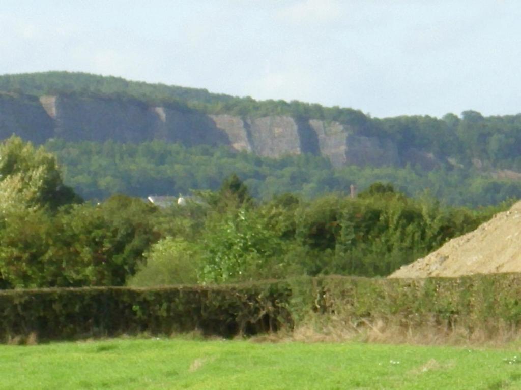 Ty Llew Otel Llandysilio Oda fotoğraf